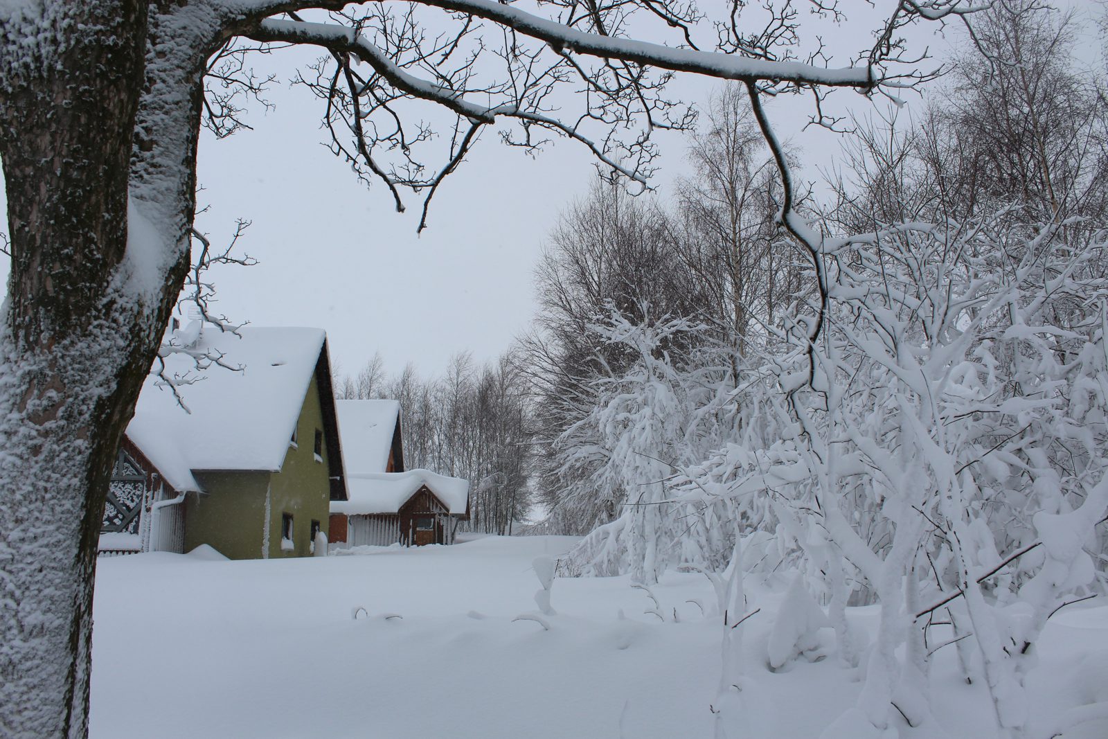 Ferienhäuser Kreuztanne